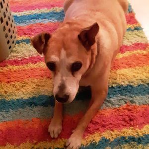 Meet your Posher, Nancy